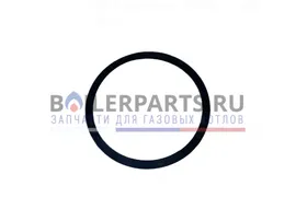 Кольцо уплотнительное циркуляционного насоса Wilo для газовых котлов 760697158